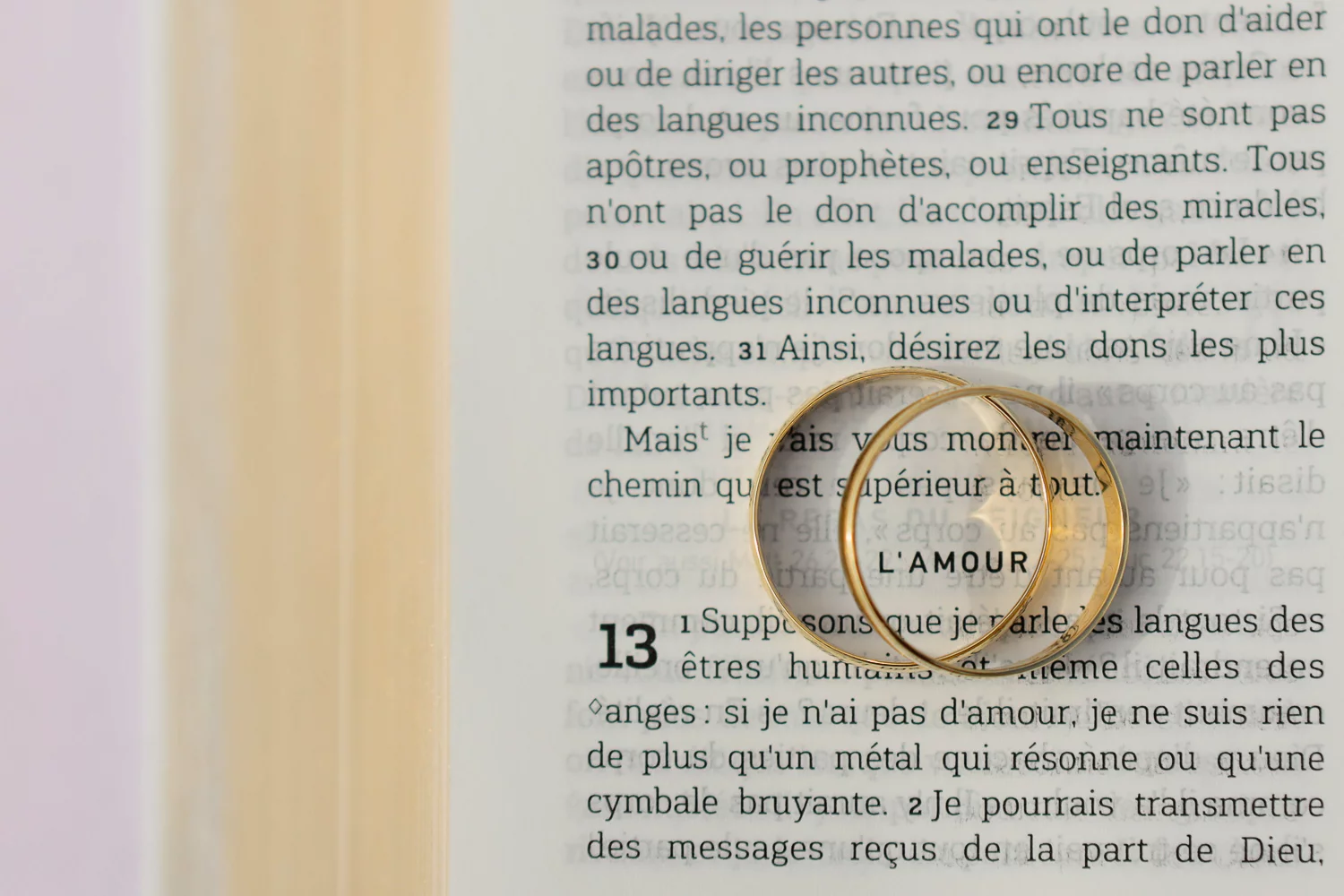 alliances photographiées sur le mot